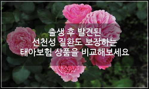 오늘의 이미지