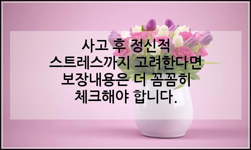 오늘의 이미지