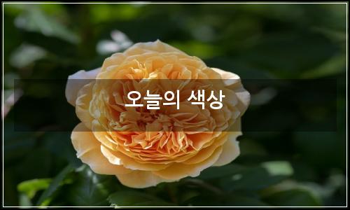 오늘의 이미지