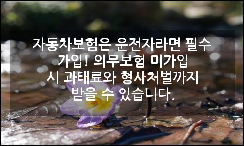 오늘의 이미지