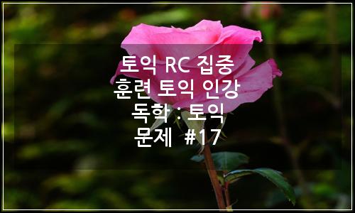 오늘의 이미지