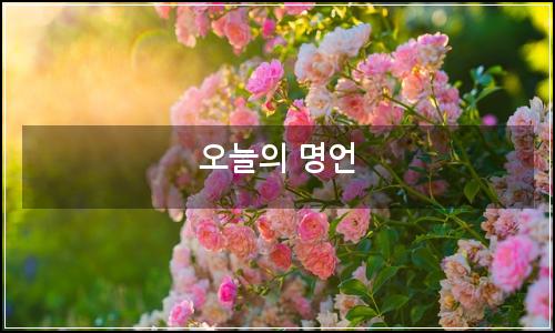 오늘의 이미지