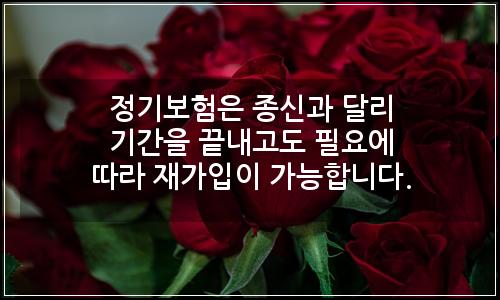 오늘의 이미지