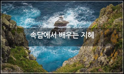 오늘의 이미지