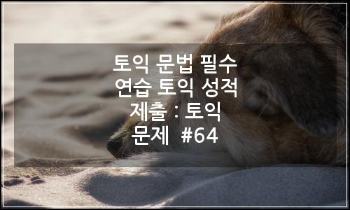 오늘의 이미지