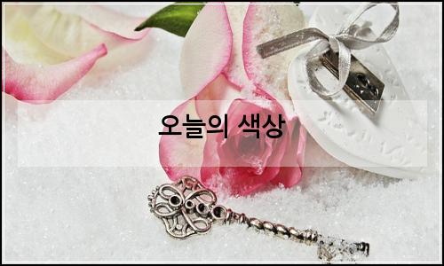 오늘의 이미지