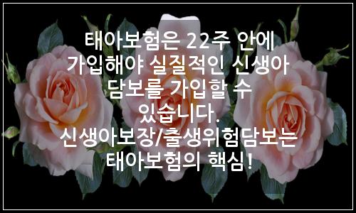 오늘의 이미지