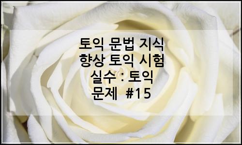 오늘의 이미지
