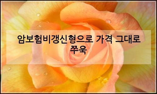 오늘의 이미지