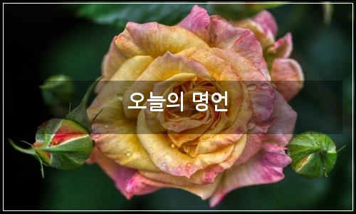 오늘의 이미지