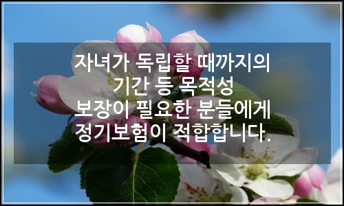 오늘의 이미지