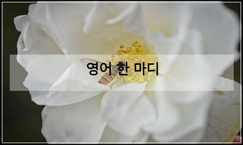 오늘의 이미지