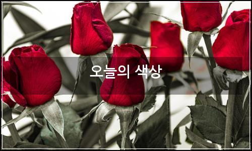 오늘의 이미지