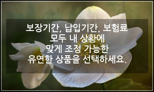 오늘의 이미지