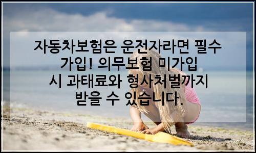 오늘의 이미지