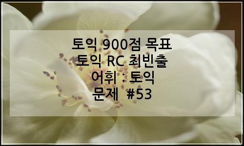 오늘의 이미지