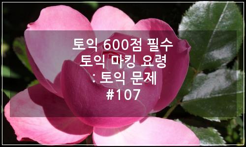 오늘의 이미지