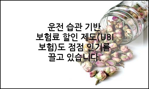 오늘의 이미지