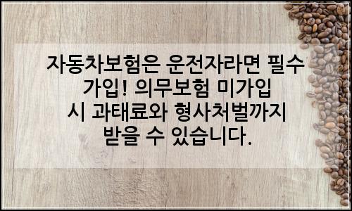 오늘의 이미지
