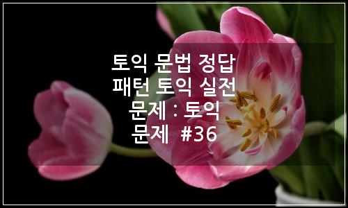 오늘의 이미지