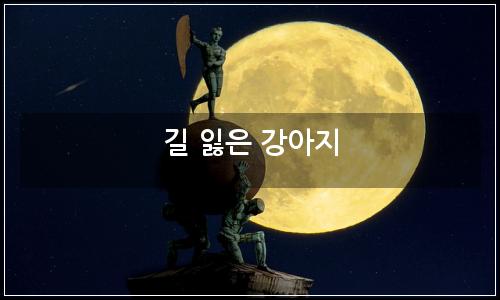 오늘의 이미지