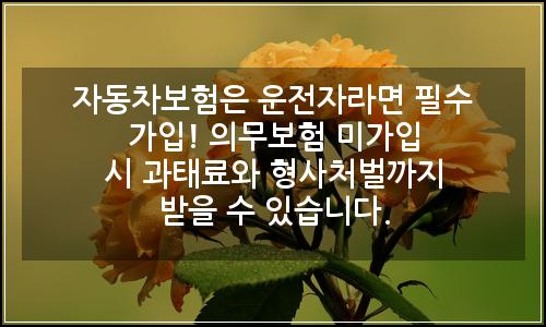 오늘의 이미지