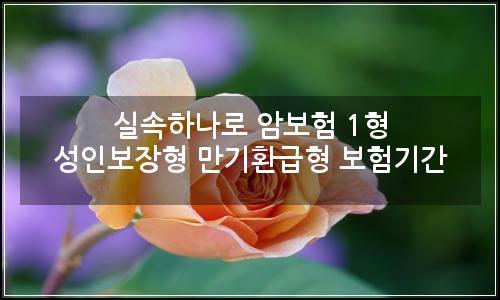 오늘의 이미지