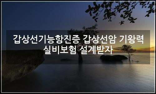 오늘의 이미지