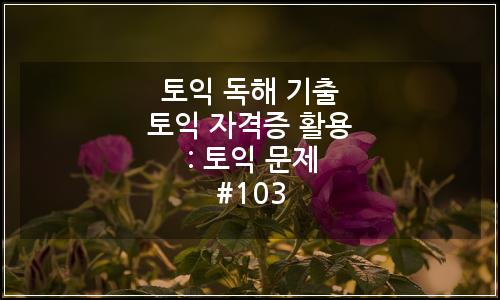 오늘의 이미지