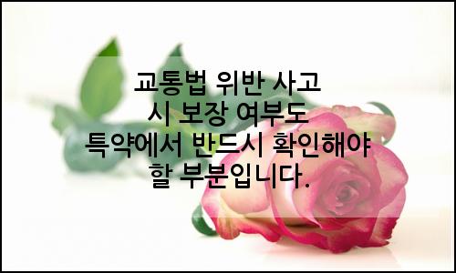 오늘의 이미지
