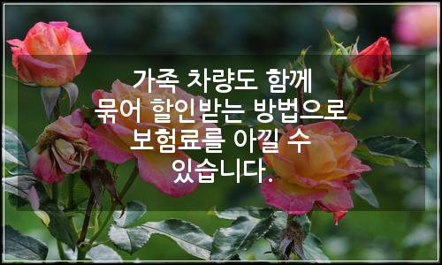 오늘의 이미지