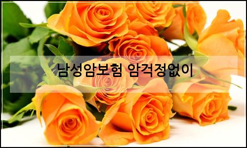 오늘의 이미지