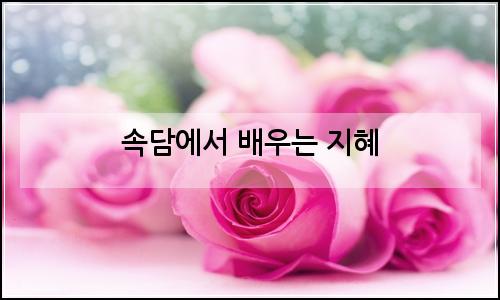 오늘의 이미지