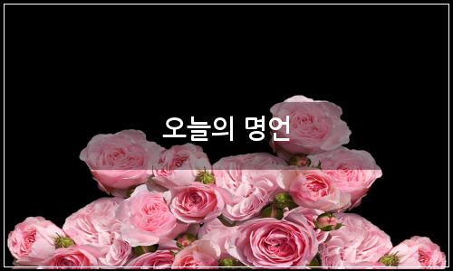 오늘의 이미지