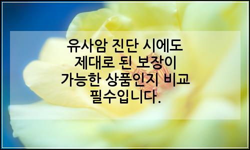 오늘의 이미지