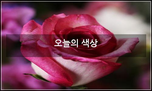 오늘의 이미지