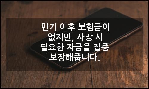 오늘의 이미지