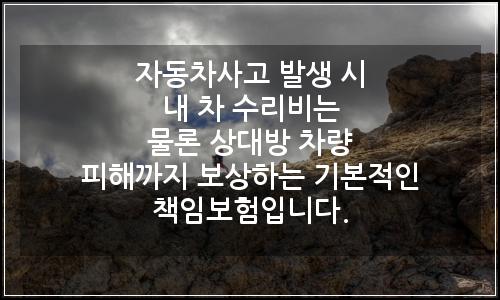 오늘의 이미지