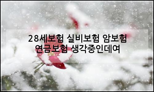 오늘의 이미지
