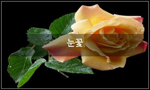 오늘의 이미지