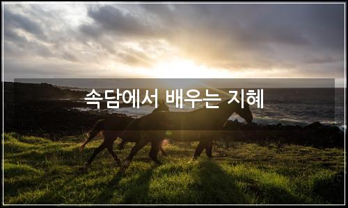 오늘의 이미지