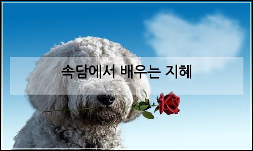 오늘의 이미지