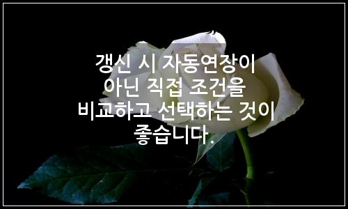 오늘의 이미지