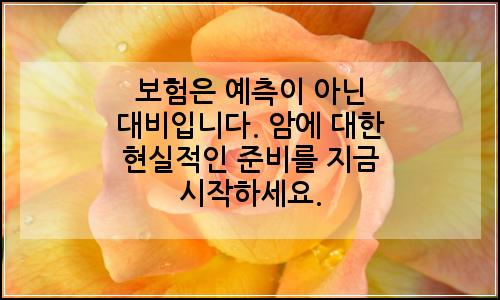 오늘의 이미지