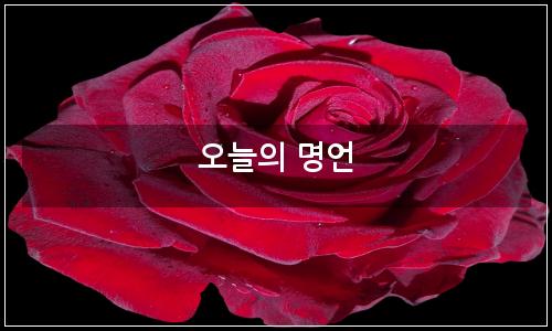 오늘의 이미지