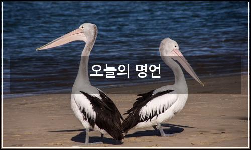 오늘의 이미지