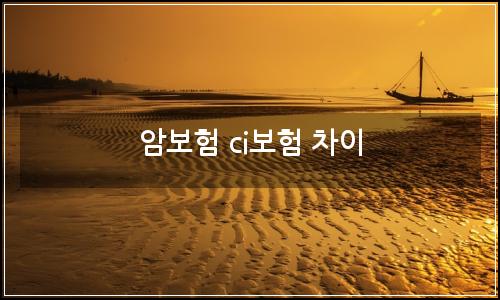 오늘의 이미지