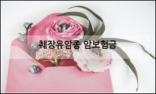 오늘의 이미지