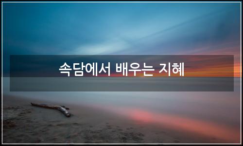 오늘의 이미지