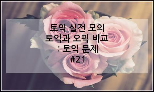 오늘의 이미지